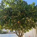 Сasa de vacaciones Bay Club 29 *